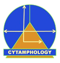 Cytamphology
